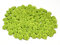 Rosen 15 mm x 100 Stück Satinrosen Aufnäher Deko Blumen Röschen zum Basteln Haarschmuck kleine Rosenköpfe Farbe: maigrün/lindgrün 550