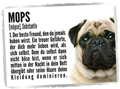 Mops Bullterrier Duden Hund Dog Schild Spruch Türschild Hundeschild Warnschild Fun Geschenkidee lustiger Spruch Hundemotiv Aluminium Wetterfestes Hundeschild