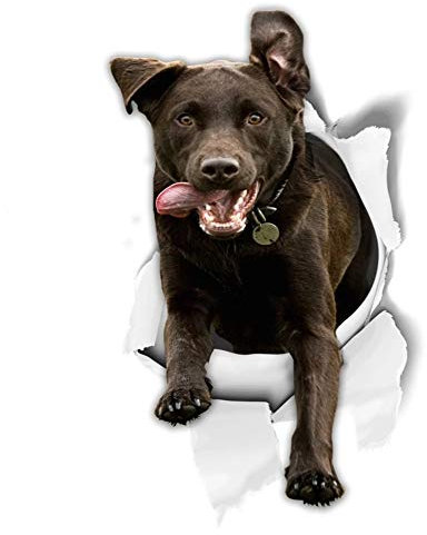 15cm hochwertiger Aufkleber Sticker Decal Autoaufkleber schwarz Labrador Retriever Welpe Hund springt D793 3D-Effekt Rand Silber