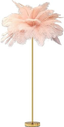 WEAFIEO Lampadaire à plumes roses - Lampe de sol en plumes naturelles - Lampadaire pour chambre à coucher - Décoration pour chambre de fille