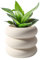 SANDYBAYTAS Pot de fleurs d'intérieur en céramique beige non émaillé de 16,5 cm avec trou de drainage, design à bulles pour décoration de maison et de bureau