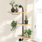 DELLAN Étagère rotative pour plantes à suspendre pour fenêtre, fixation murale d'intérieur (3 niveaux)