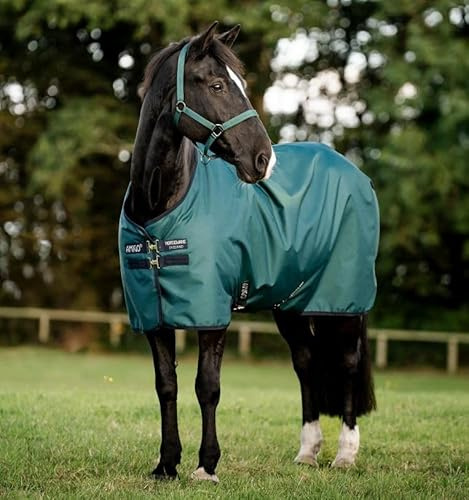 Horseware Amigo Ripstop 900D 50g Turnout Weide Decke Dynasty Green/Navy & Silver, Deckengröße:125 cm / 5´9