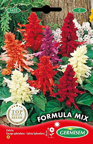 Germisem Formula Mix Semi di Salvia Fuoco 0.5 g