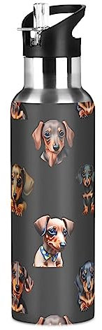 Mnsruu Cute Dogs Dachshunds Water Bottle for Boys Girls Insulated Thermos Stainless Steel Vacuum Drink Flask Straw Leakproof Sports 600 ml