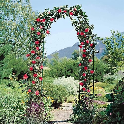 GueTTO Rankgitter Verzinkt Rosenbogen Metall Torbogen Rankhilfe Für Kletterrosen Und Clematis Rosenspalier Gartenbogen Stabiles Rosengestell Rostfrei Rankenbogen,W240cm x H220cm