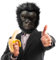 Glaxcidy Masques de Gorille, Masque de Singe D'Halloween, Masque D'animal à Tête Complète en Latex, 3D Masque de Chimpanzé Réaliste, Accessoires de Fête Costumée de Chimpanzé Masques de Cosplay (B)