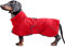 MOREZI Hundejacke ist eine wasserdichte, mit Fleece gefütterte Hundewinterjacke mit verstellbarem Gürtel und Reflexbesatz, geeignet für Dackel und ähnliche Rassen-Rot-M