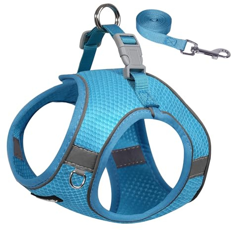 AIITLE Hundegeschirr für mittelgroße Hunde, Anti-Zug-Hundeweste mit Leine, ausbruchsicheres Haustier-Outdoor-Geschirr, Welpen-Essentials für mittelgroße Hunde, Blau, M
