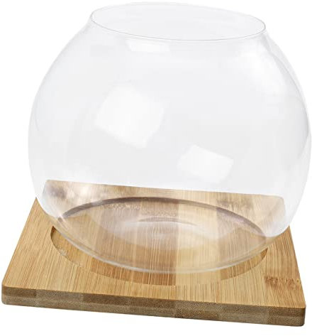 Supvox 1 Satz Kleines Fischbecken Klare Vase Pflanzen Goldfischglas-vasen Als Mittelstücke Klares Terrarium Für Pflanzen Pflanzenaufbewahrungstopf Tank Luftpflanzen Aquarium Hölzern