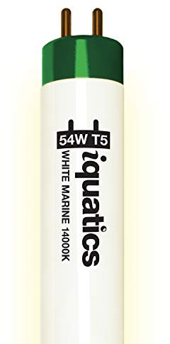 iQuatics Juwel Compatible Aquarium Fluorescent Light Bulb T5 (Single), White 14000k, 54w 1047mm 42