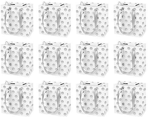 Jinlaili 12 Stk Geschenktüte Klein mit Henkel, Papiertüten für Geschenke, 14 x 15 x 7cm Geschenktüten Papier mit Griffen, Weiß Geschenktüten Klein für Geburtstag, Hochzeit Party (Silber)