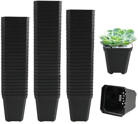 YapitHome 100 macetas cuadradas negras pequeñas de 5,4 cm, macetas de plástico con orificios de drenaje para frutas, esquejes, trasplantar, plántulas