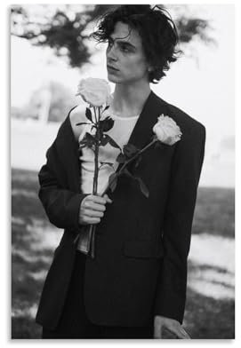 QEWSAR Timothee Chalamet Schönes Poster, dekoratives Gemälde, Leinwand, Wandkunst, Wohnzimmer, Schlafzimmer, 20 x 30 cm