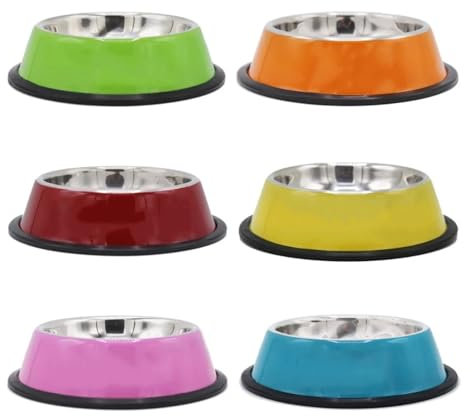 XFZDKJSD Gamelles pour chien personnalisées, bol de chien personnalisé avec nom, bol de nourriture pour chien personnalisé, bol de chat personnalisé (15 cm)