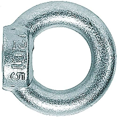 Fischer Ringmutter RI M12 E (91579) Profisortiment- Inhalt: 1 Stück