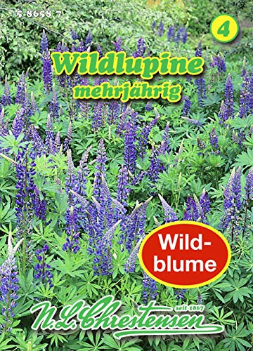 Lupinus perennis, Wildlupine mehrjährig N.L.Chrestensen Samen 586587-B