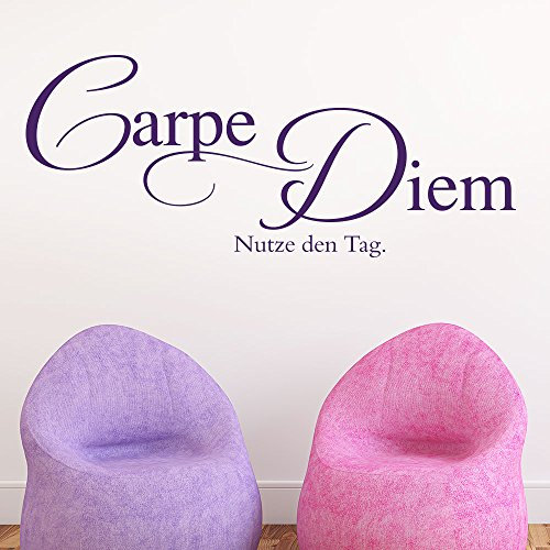 Wandtattoo Carpe Diem No.7 (Farbe schwarz/Größe 80x33cm)