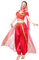 MUNAFIE Jasmin Kostüm Frauen Bauchtanz Kostüm Damen (Oberteil + Hose + Kopfschleier + Gesichtsschleier + Armband) Prinzessin Kostüm M-rot