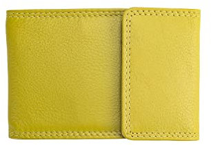 Josephine Osthoff Handtaschen-Manufaktur Étui en cuir avec 2 porte-clés, limone (Vert) - 966/59