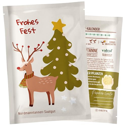 valeaf Dein Weihnachtsbaum zum Pflanzen I Nordmanntanne Samen I dein Baum 2030 I tolles Geschenk Weihnachten, Wichtelgeschenk u Adventskalender Füllung I Christbaum Tannenbaum Samen mit valeaf Samen