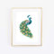 Din A4 Kunstdruck ohne Rahmen - Pfau Vogel Aquarell Druck Poster Bild