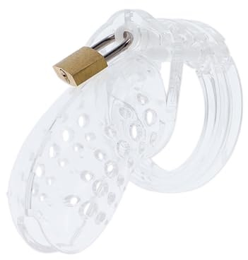 Hidden Desire - Extreme Chastity Cock Cage Acrylic