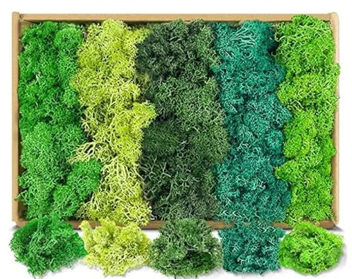Wisebom Moos für Deko und Bastelprojekte - Konservierte Naturmoose in 5 Farben, Moos zum Basteln für Moosbilder, Wald-Deko, Modellbau und Weihnachtsdeko, Langlebig (200g, Box) - Grün