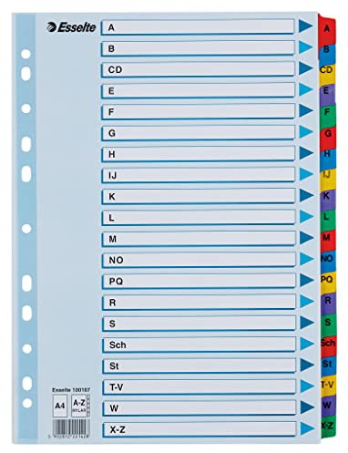 Leitz Esselte Register für A4, Deckblatt und 20 Trennblätter, Taben mit alphabetischem Aufdruck A-Z, Lochrand und Taben folienverstärkt (Mylar), Blau, Karton, 100167