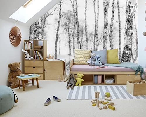 Papier Peint Panoramique 3D Soie, 250x170cm, Forêt Noir et Blanc, Tropicale XXL Tapisserie, Personnalisé pour Salon, Salle à Manger, Étude, Chambre Adulte, D'enfant