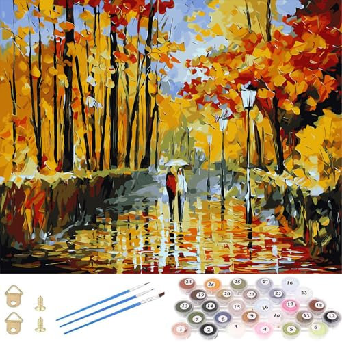 TARATH Peinture par Numéro Kits pour Adulte, Peinture à l'huile Peindre par Nombre Kits avec Pinceaux, 16 * 20 pouces (sans cadre)