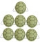 BESTonZON 7 Pièces Carapace De Tortue Habiller Portable Carapace De Tortue Tortue À Jouets Tortue Jouets Enfant Partie Prop Shell Ninja Shell Costume Tortue Coquille Jouet Eva Vert