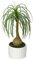 Oairse Fake Plants in Ceramic Pots 41CM Artificial Ponytail Palm Plant Potted Decorative Faux Bonsai Tree Realistic House Plant for Home Office Decor Desk Bathroom Bedroom Shelf Table Decoration