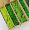 prefleur 5 Farben Mix Pack konserviert Rentiermoos Natur Grün DIY Kit Gartenarbeit Kunst Wand Dekor Florist Dekor (0,45 kg) (Grün-01 Grün-02 Grün-03 Grün-04 Grün-06)