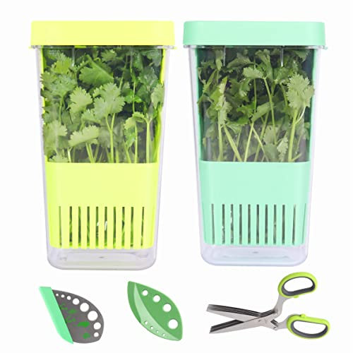 Ensemble de garde-herbes : 2 pots de conservation d'herbes + 1 paire de ciseaux à herbes + 2 décapeurs à herbes, récipient pour asperges, conserve les herbes fraîches jusqu'à 3 fois plus longtemps.