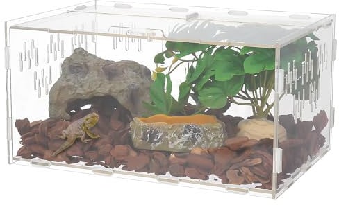 Halinuia Schnecken Terrarium, 30 x 20 x 15 cm Acryl Terrarium Reptil Fütterungsbox Transparent Mini Terrarium für Schnecken, Wasserschildkröten, SpinnenHamster, Einsiedlerkrebs, Echse