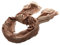 GUESS Loralee Scarf 80X190 Camel