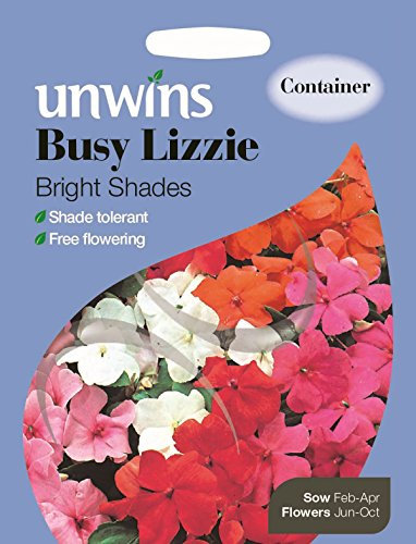 Unwins Pictorial Packet - Busy Lizzie Bright Shades - 50 Seeds