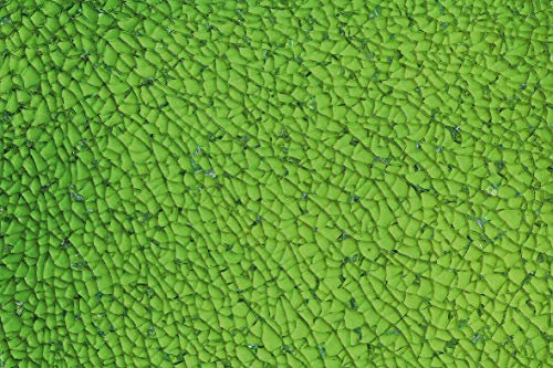 GLOREX 6 2460 07 Crackle Mosaic Platte, Glas, Grün, 15 x 0.5 x 27 cm, 1 Einheiten