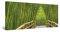 Startonight Impression Sur Toile Bambou De Ruelle, Tableau Paysage - Decoration Murale Salon Moderne - Image sur Toile - 60 x 120 cm cm Idée Cadeau Élégante et Originale Effet Lumineux Nocturne