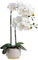 home&you - Kunstblume Orchidee, Größe 12.5x46 cm, Keramiktopf, Orchideen künstlich mit Blätter, Blumen wie echt, Hochzeit, Home Room Büro Deko - Weiß
