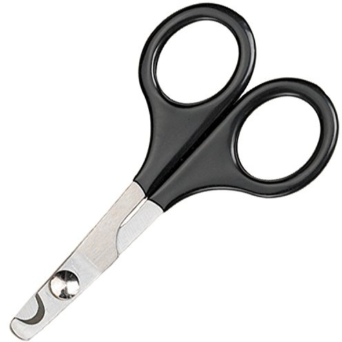 Master Grooming Tools Pet Nail Scissors — Stainless Steel Scissors for Trimming Nails on Cats and Birds - Medium, 5