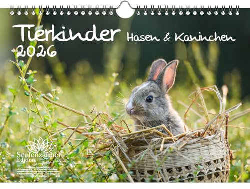 Tierkinder Hasen und Kaninchen DIN A4 Kalender für 2026 - Seelenzauber
