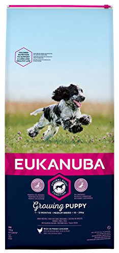 Eukanuba Puppy Welpenfutter für mittelgroße Rassen – Ausgewogenes Trockenfutter mit verbesserter, neuer Rezeptur für Welpen im Alter von 1-12 Monaten in der Geschmacksrichtung Huhn – 1 x 12kg Beutel
