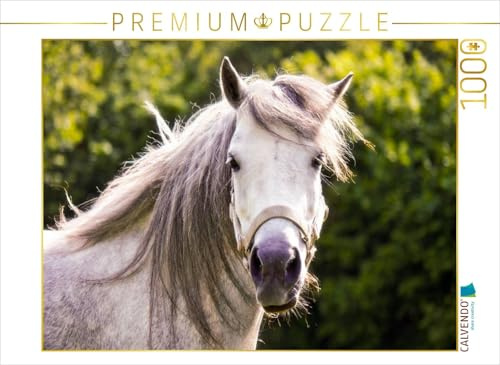 CALVENDO Puzzle Welshpony Lulu | 1000 Teile Lege-Größe 64 x 48 cm Foto-Puzzle für glückliche Stunden