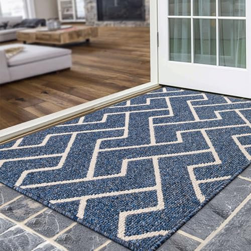 Biscpro Schmutzfangmatte 80 x 120, Rutschfestigkeit Fußmatte,Maschine gewaschen Türmatte für Hund, Außen Innen Garten,Teppich,küchenteppich,Haustür