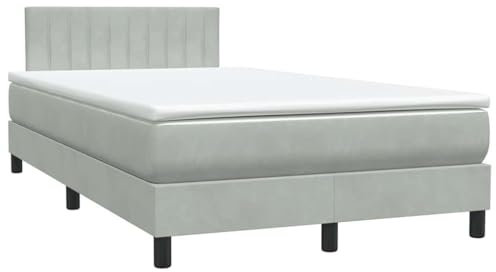 vidaXL Boxspringbett mit Matratze Hellgrau 120x220 cm Samt, Bett, Bett mit Stauraum, Möbel Schlafzimmer, Betten, Bett mit Bettkasten