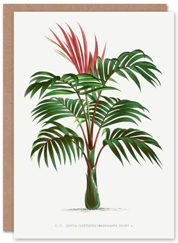 Artery8 Oswald de Kerchove Art Card Kentiopsis Macrocarpa Palm Tree