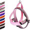 EzyDog 5708214241060 Quick Fit Geschirr Candy, L