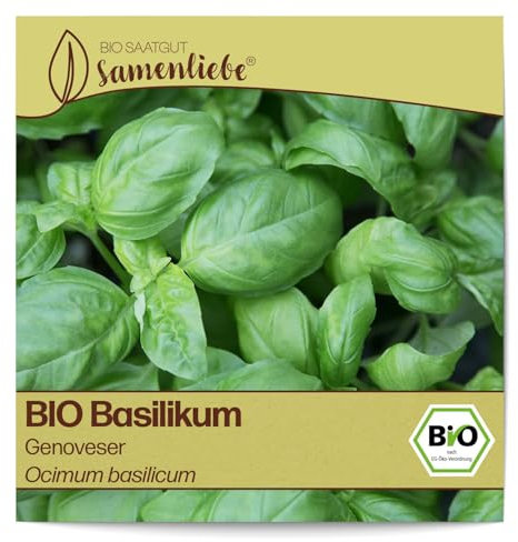 Samenliebe BIO Basilikum Samen alte Sorte Genoveser italienische Kräuter großblättriges Küchenkräuter 500 Samen samenfestes Kräuter Saatgut für Küche, Balkon und Garten BIO Kräutersamen